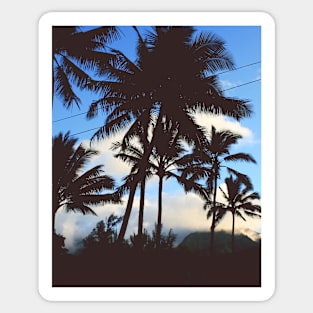 Tropical landscape palms Sticker